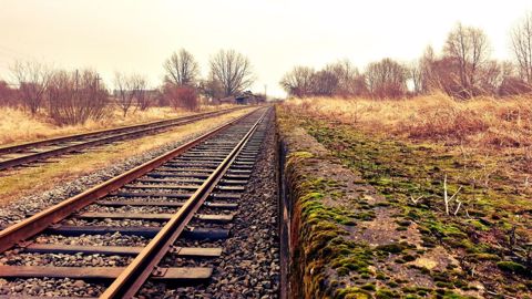 La profession agricole a signé le 25 février un protocole d'accord avec SNCF Réseau pour mieux prendre en compte l'impact des projets ferroviaires sur l'agriculture. (©Pixabay)