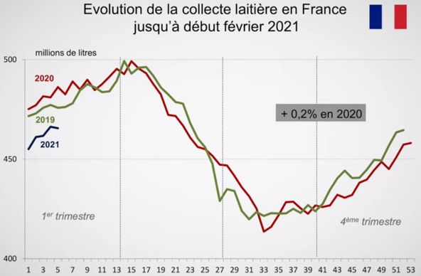 Collecte laitière française