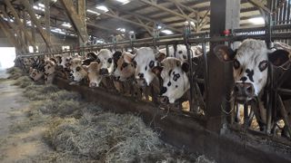 « La filière laitière résiliente dans un monde économique perturbé » « La filière laitière résiliente dans un monde économique perturbé »