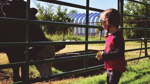 L'objectif de cette étude du Civam 44 : « Ouvrir encore plus largement aux femmes l'accès à l'agriculture ».(©CC) L'objectif de cette étude du Civam 44 : « Ouvrir encore plus largement aux femmes l'accès à l'agriculture ».(©CC)