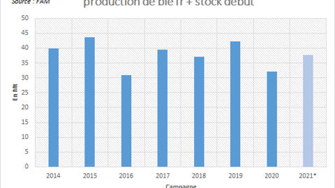 Production de blé et stock début.