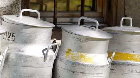 Un début d'année au ralenti pour la collecte française Un début d'année au ralenti pour la collecte française