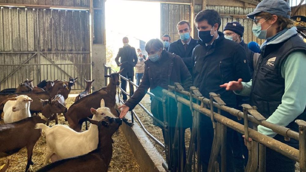 Julien Denormandie, ici en visite dans l'Eure au Gaec des Sablons en novembre dernier, s'affiche très enthousiaste dans ce projet de décentralisation ministérielle qui démarrera le 1er mai 2021. (©Ministère de l'agriculture)