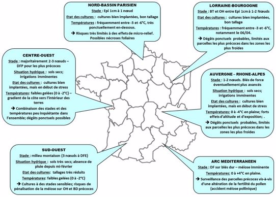 Situation des céréales à paille dans différents bassins de production