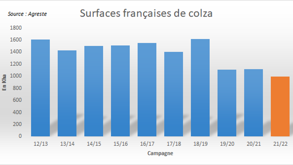 Surfaces françaises de colza.
