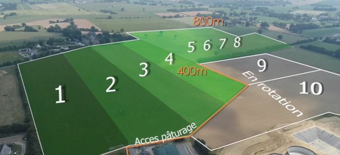 Pâturage tournant sur des paddocks de 2 ha