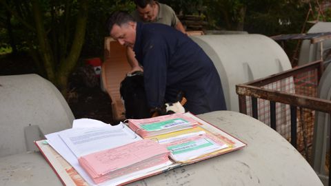 Pour certains éleveurs, impossible de faire partir les veaux depuis plus d'un an tant qu'ils n'ont pas leurs cartes vertes. (©Terre-net Média) Pour certains éleveurs, impossible de faire partir les veaux depuis plus d'un an tant qu'ils n'ont pas leurs cartes vertes. (©Terre-net Média)