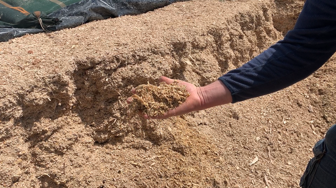 L'ensilage de maïs épis correspond à la récolte de l'épi avec les rafles et les spathes (©Terre-net Media) L'ensilage de maïs épis correspond à la récolte de l'épi avec les rafles et les spathes (©Terre-net Media)