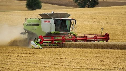 En blé, le rendement moyen de l'UE serait de 5,86 t/ha en 2021 selon les dernières prévisions, contre 5,89 t/ha estimées le mois dernier. (©Terre-net Média)