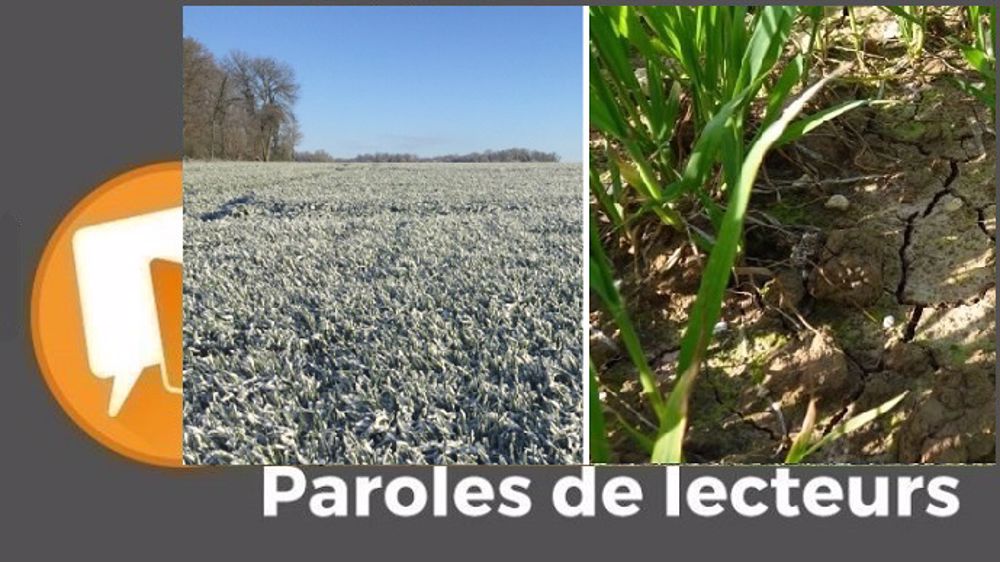  « Décidément, la météo ne nous épargne rien depuis quelques années ! », déplore Bruno 02. (©Terre-net Média)