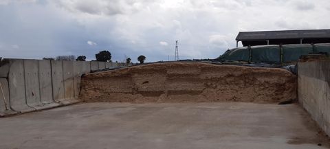 Silo de maïs ensilage