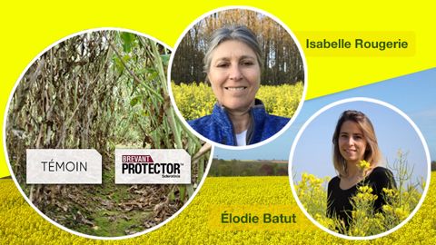 Associer une variété tolérante et un produit de biocontrôle Associer une variété tolérante et un produit de biocontrôle