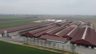 Une étable de 1 700 vaches dont le lait est transformé juste en face Une étable de 1 700 vaches dont le lait est transformé juste en face