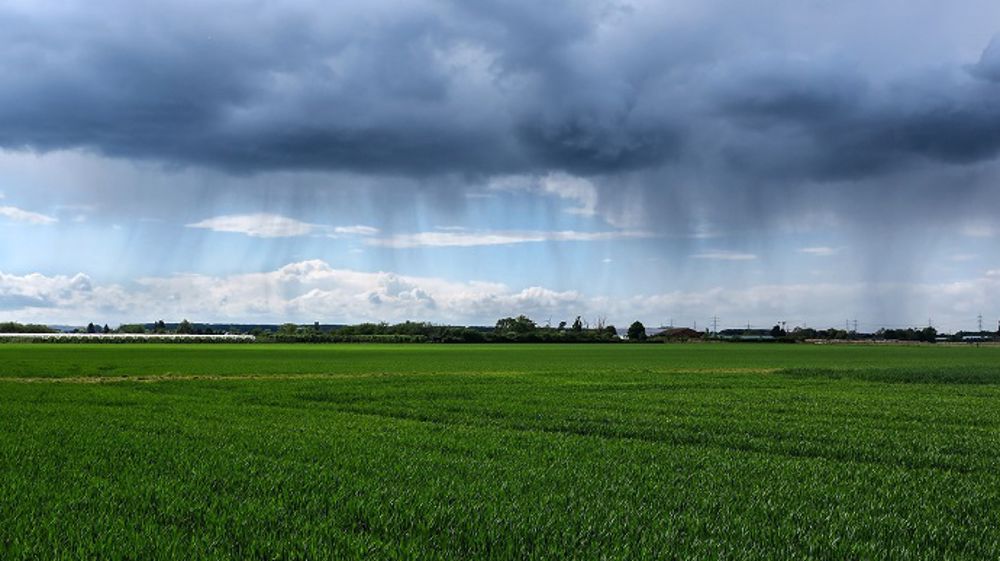Les pluies bénéfiques aux cultures s'étendent au Nord de la France. (©PixaBay)