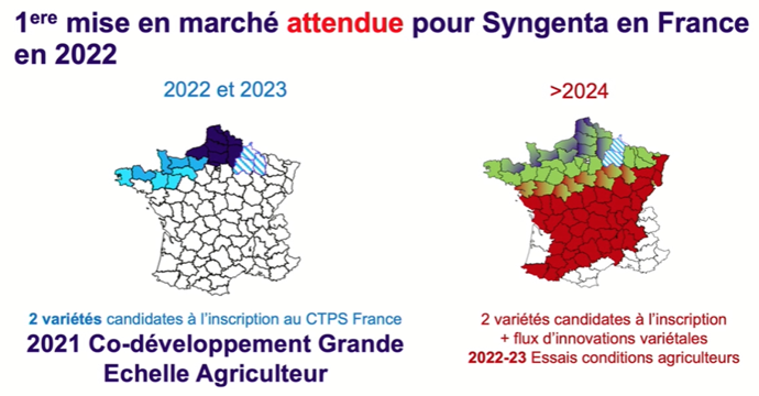 Lancement flux d'innovations variétales chez Syngenta