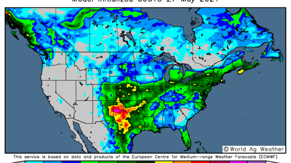 Prévisions de pluies à 7 jours. (©WorldAgWeather) Prévisions de pluies à 7 jours. (©WorldAgWeather)
