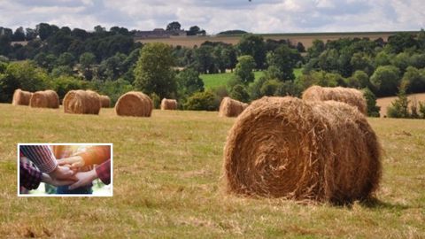 Et si l'échange de parcelles permettait de faciliter la transmission des exploitations agricoles et la mise en place de nouveaux projets ? (©Terre-net Média/Fotolia) Et si l'échange de parcelles permettait de faciliter la transmission des exploitations agricoles et la mise en place de nouveaux projets ? (©Terre-net Média/Fotolia)