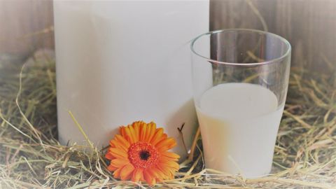 Leclerc a annoncé le 9 juin avoir signé un contrat pour une meilleure rémunération de 200 millions de litres de lait. (©Pixabay) Leclerc a annoncé le 9 juin avoir signé un contrat pour une meilleure rémunération de 200 millions de litres de lait. (©Pixabay)