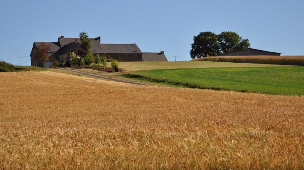 « Plus on visite de fermes, et plus on se rend compte de la divergence entre les structures à transmettre et les objectifs des porteurs de projets ! », fait remarquer Thomas Payen. (©Terre-net Média)