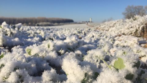 « On ne peut pas dire d'un événement météo ponctuel : c'est à cause du changement climatique, mais on peut mesurer à quel point le changement climatique a modifié la probabilité que cet événement puisse se produire »,  souligne Samuel Morin, directeur du Centre national de recherches météorologiques, unité mixte CNRS/Météo France. (©Terre-net M&eacute
