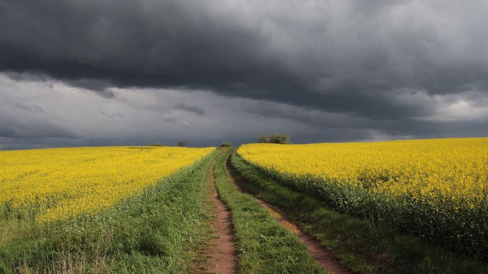Orages : 31 départements en vigilance orange (©Pixabay)