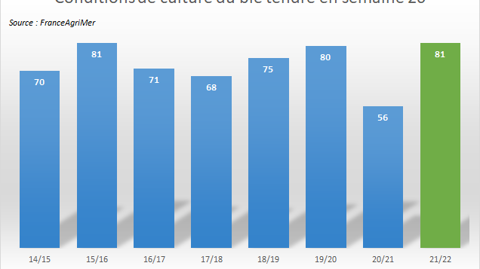 Taux de blé tendre "bon à très bon" selon FranceAgriMer.