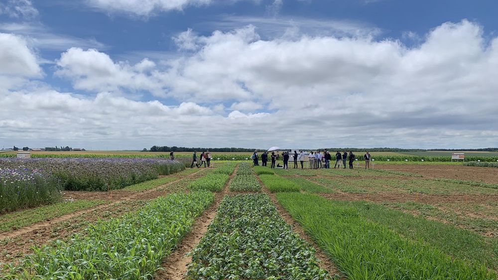 Pour Bioline, chaque solution testée dans le cadre de la 3<sup>e</sup> voie de l'agriculture est évaluée selon un triple objectif : réponse aux attentes des consommateurs citoyens, revenu juste et équitable pour les agriculteurs et respect de l'environnement. (©Bioline)