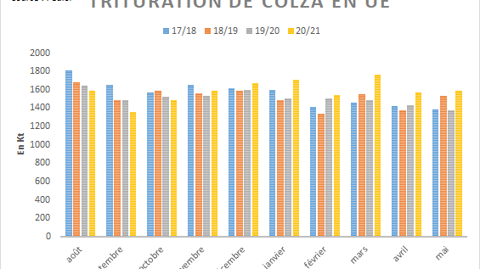 Trituration européenne de colza selon Fediol.