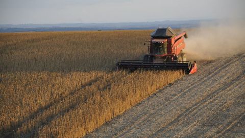 Le Conseil international des céréales estime des récoltes record en céréales et en soja, en 2020/2021 et en 2021/2022 (©Pixabay)
