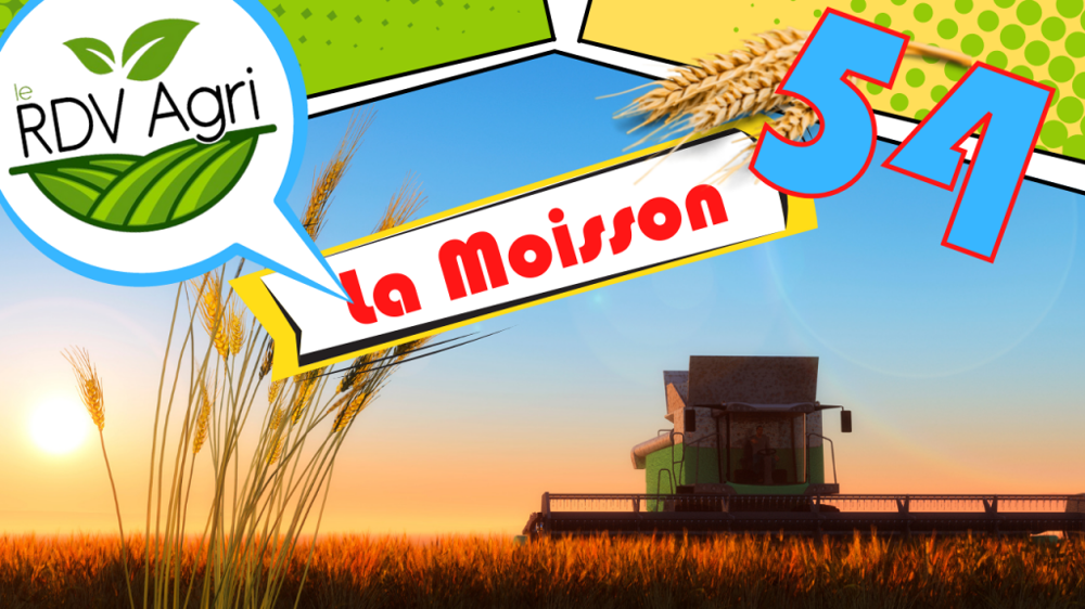 Comment sera la moisson 2021 qui a tout juste commencé dans certaines régions ? (©Sophie Sof)
