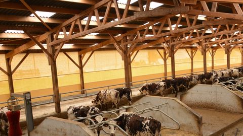 Le logiciel propose également un catalogue de produits brise-vent pour aider l'éleveur à choisir les matériaux appropriés (©Terre-net Media)