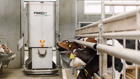 Feedr : le robot d'alimentation pensé pour les élevages de veaux de boucherie Feedr : le robot d'alimentation pensé pour les élevages de veaux de boucherie