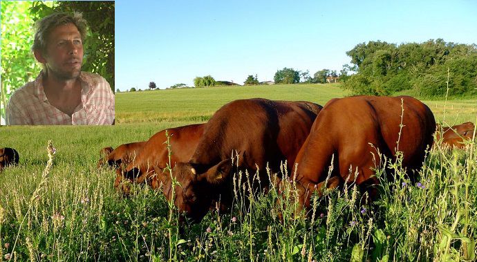elevage boeuf a l herbe et transformation de ble en pain d andrew coecup