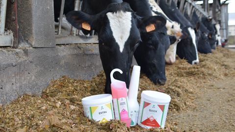 AHV est une entreprise néerlandaise implantée en France depuis 1 an, principalement dans le Grand Ouest. (©AHV) AHV est une entreprise néerlandaise implantée en France depuis 1 an, principalement dans le Grand Ouest. (©AHV)