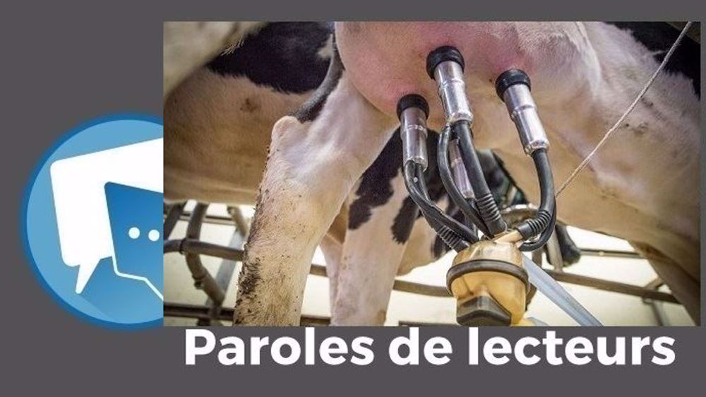 Le lait et la production laitière au cœur des préoccupations des lecteurs depuis l'été dernier. (©CC // Création Terre-net Média)