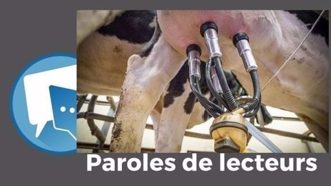 Le lait et la production laitière au cœur des préoccupations des lecteurs depuis l'été dernier. (©CC // Création Terre-net Média) Le lait et la production laitière au cœur des préoccupations des lecteurs depuis l'été dernier. (©CC // Création Terre-net Média)