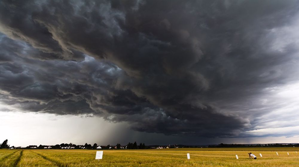 Les pluies menacent à nouveau les récoltes et les qualités des cultures d'hiver. (©PixaBay)