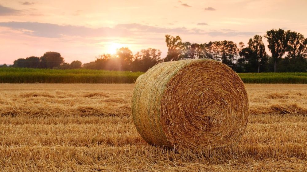 C'est enfin le retour de l'été sur l'Hexagone. (©Pixabay)