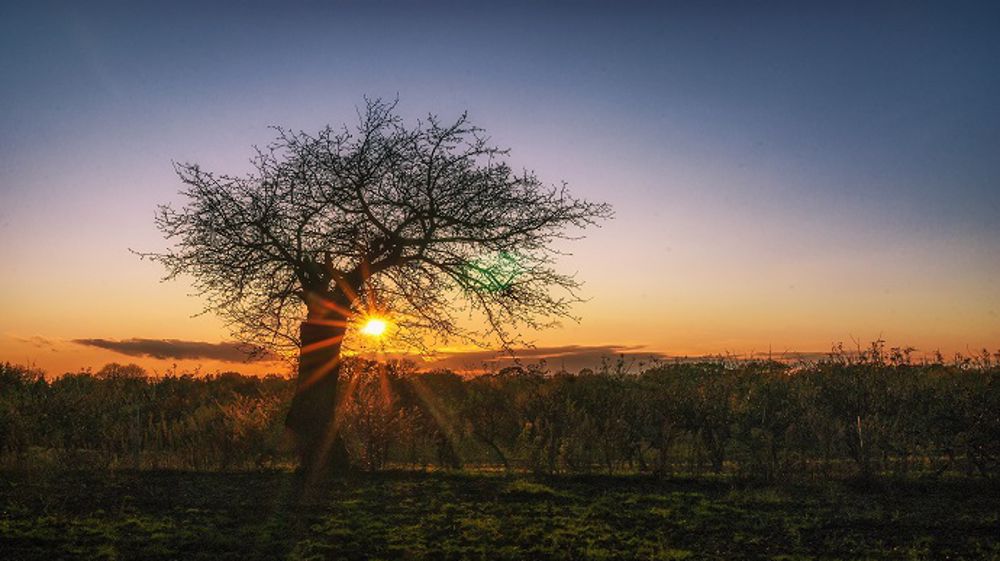 Le soleil s'installe sur une large partie de l'Hexagone. (©PixaBay)