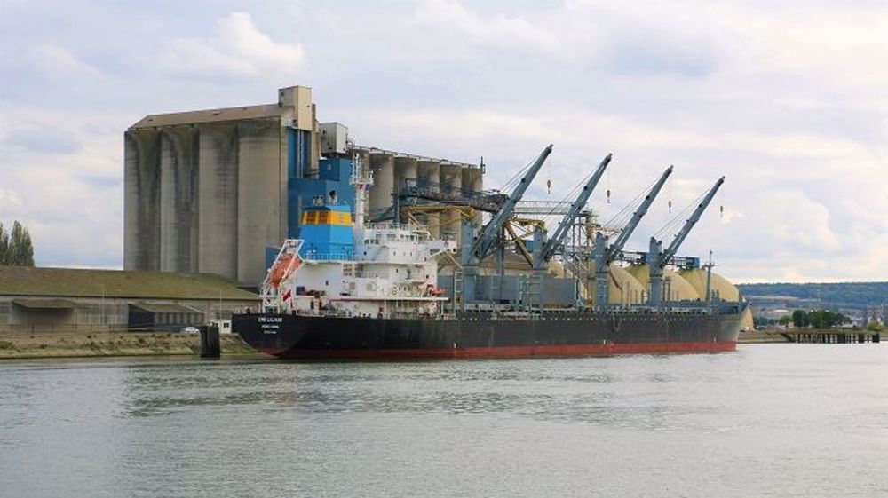 La France arrive en 3e position des exportateurs de blé européens. (©Terre-net-media)