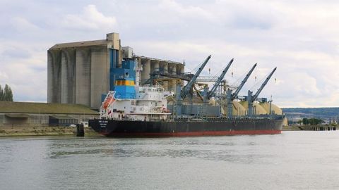 La France arrive en 3e position des exportateurs de blé européens. (©Terre-net-media)