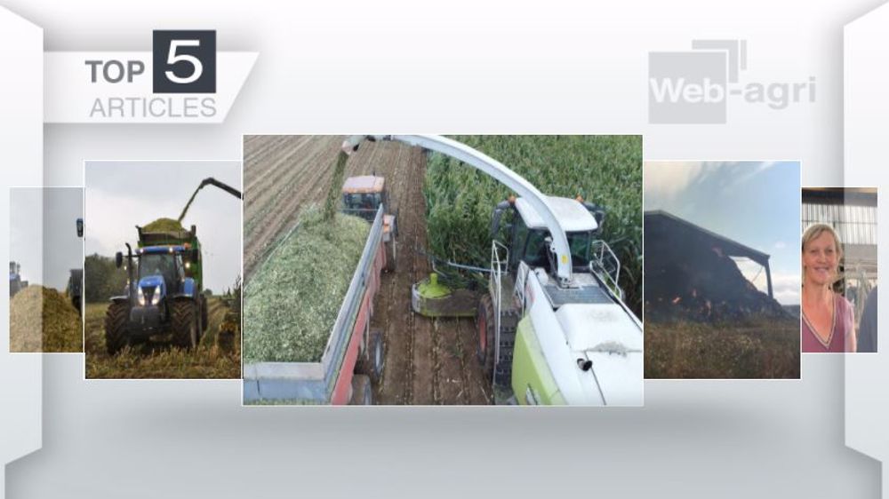 Top articles de Web-agri cette semaine. (©Terre-net Média)