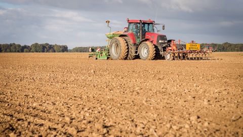 Quelle météo pour les semis d'automne ? (©Nadège Steiner) Quelle météo pour les semis d'automne ? (©Nadège Steiner)