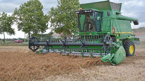 Pour le soja, les normes de commercialisation sont fixées à 14 % d’humidité de la graine et 2 % d'impuretés. (©Terres Inovia)