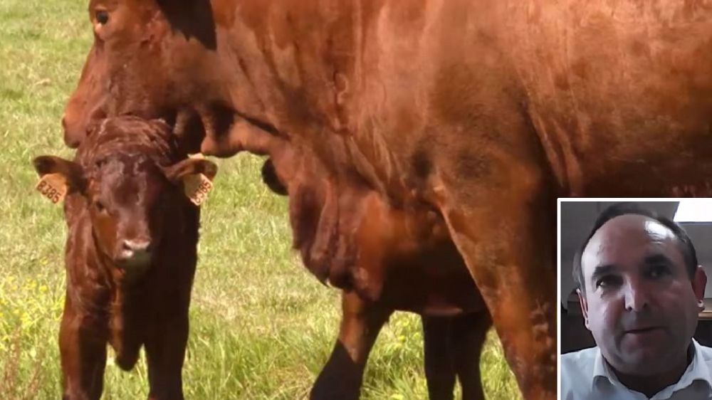  Pour Joël Philippe, « c'est important de communiquer<a href="https://www.web-agri.fr/enseignement-agricole/article/181573/rentree-enseignement-agricole-campagne-communication-contre-les-idees-recues-et-pour-mieux-se-faire" title="L'enseignement agricole communique pour attirer des jeunes vers l'agriculture" target="_self"></a> notre passion du métier d'éleveur aux jeunes, de donner dès le départ notre expérience du terrain &raquo