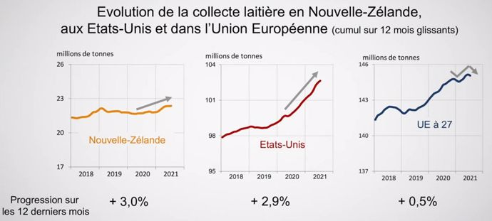 Collecte laitière