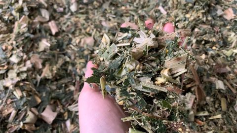 Difficile d'établir un lien exact entre des pathologies rencontrées en élevage et la présence de mycotoxines, dont les conséquences restent encore très floues. (©Terre-net Média) Difficile d'établir un lien exact entre des pathologies rencontrées en élevage et la présence de mycotoxines, dont les conséquences restent encore très floues. (©Terre-net Média)