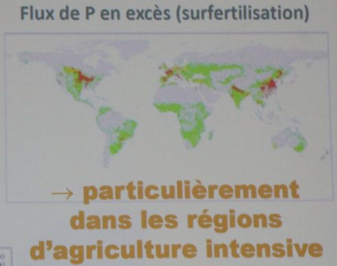 Répartition P