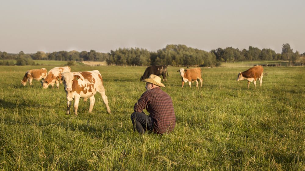 Les agriculteurs souhaitent « la continuité de leur exploitation et des pratiques qu'ils ont mises en place ». (©Fotolia)