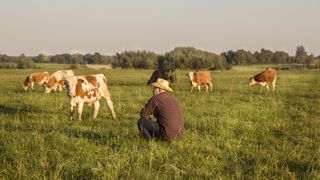 Les agriculteurs souhaitent « la continuité de leur exploitation et des pratiques qu'ils ont mises en place ». (©Fotolia) Les agriculteurs souhaitent « la continuité de leur exploitation et des pratiques qu'ils ont mises en place ». (©Fotolia)